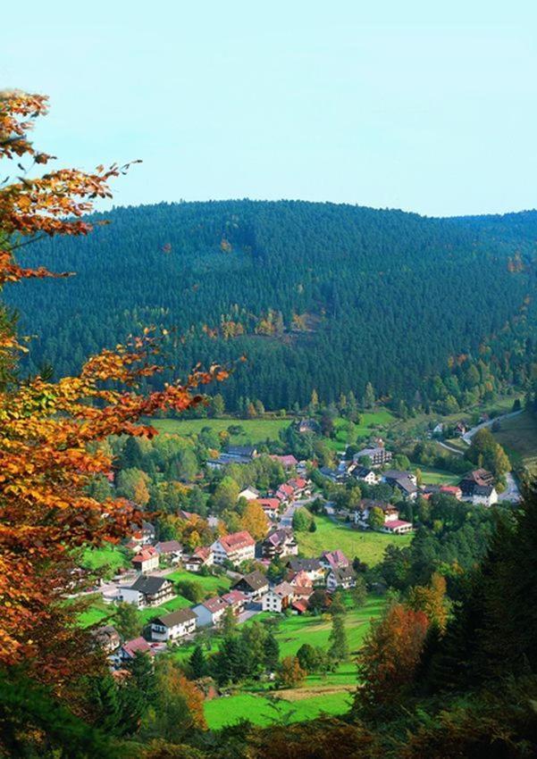 Hotel Schwarzwaldhof Энцклёстерле Экстерьер фото