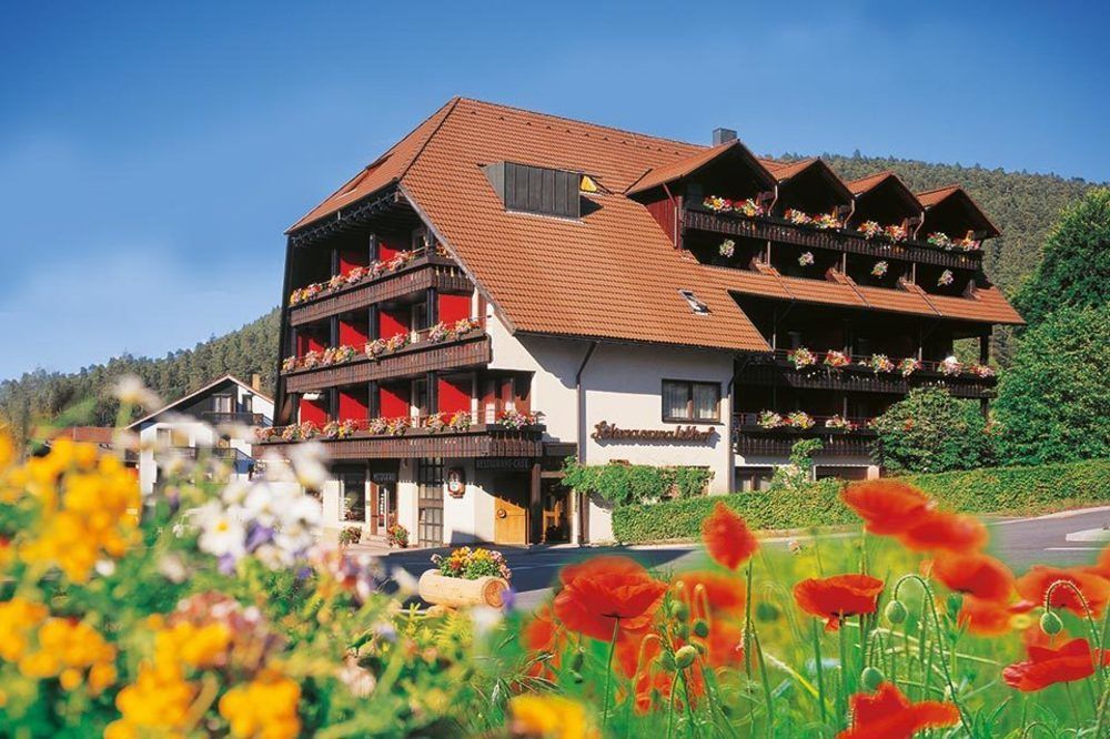 Hotel Schwarzwaldhof Энцклёстерле Экстерьер фото