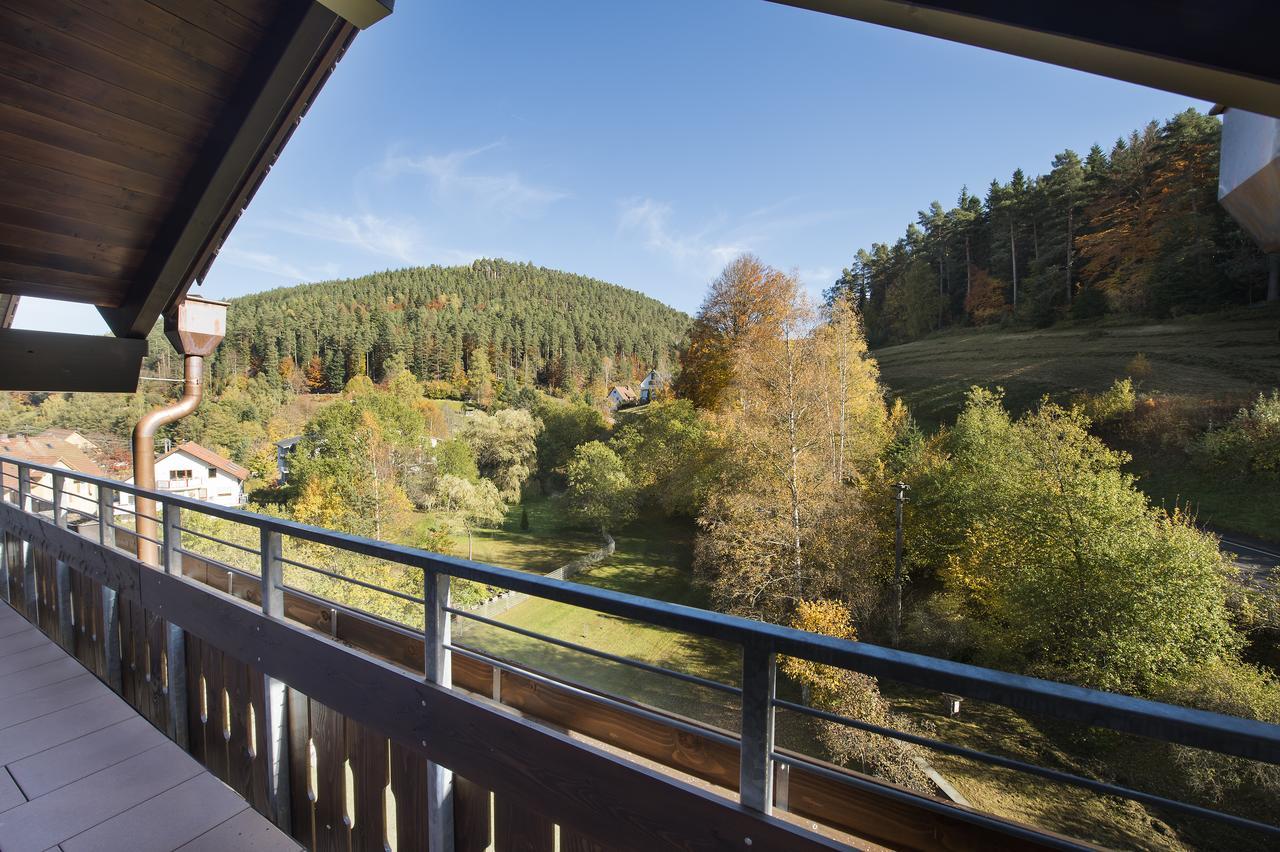 Hotel Schwarzwaldhof Энцклёстерле Экстерьер фото